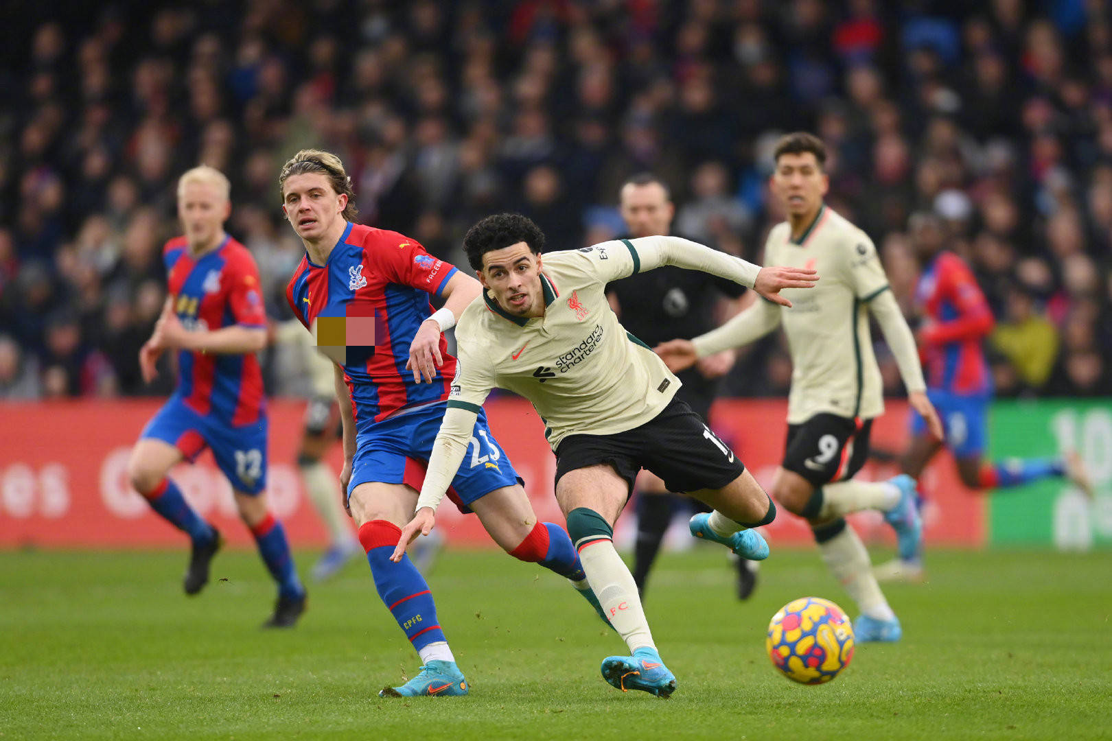 可能对球员 可能对球员