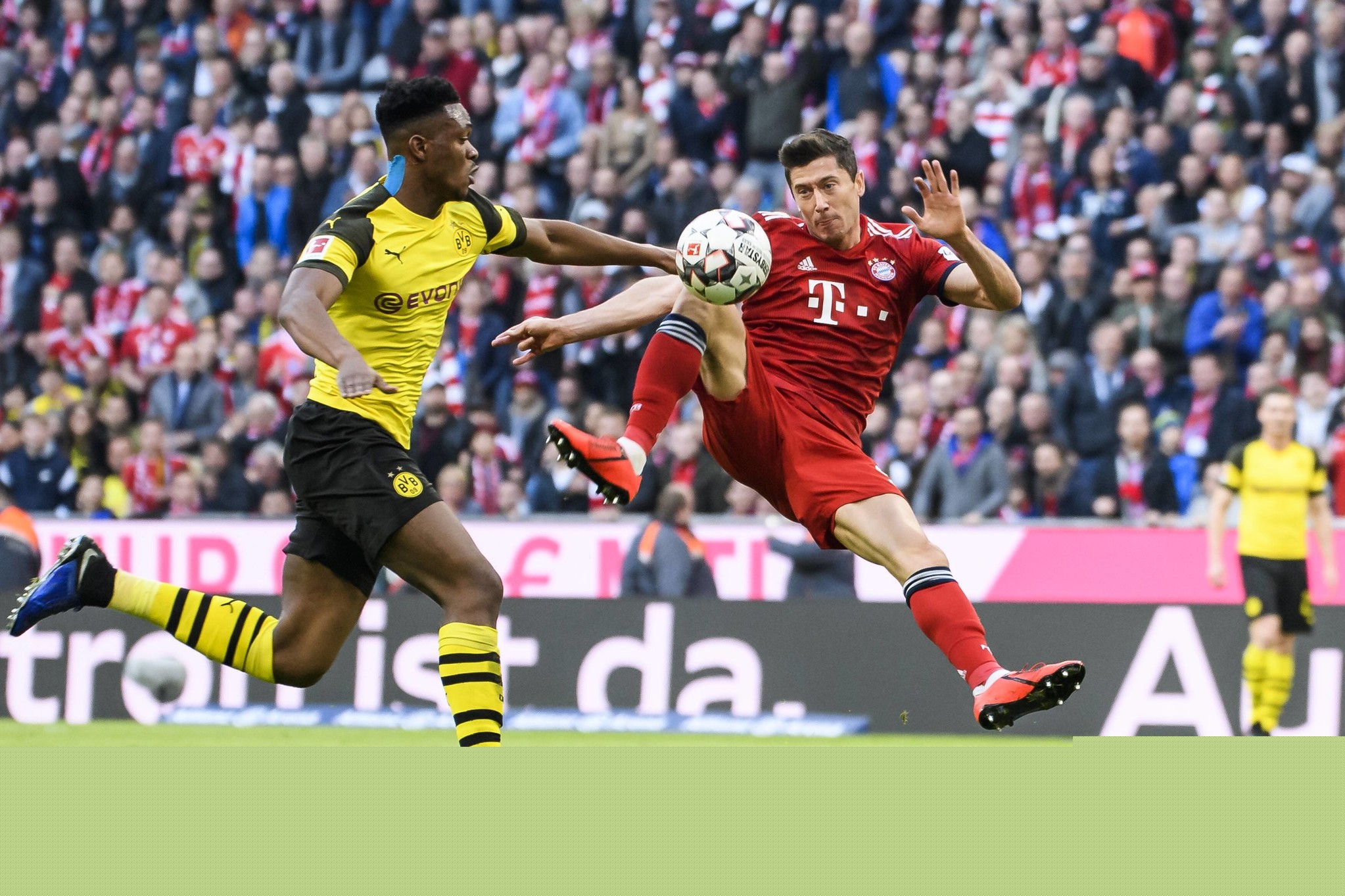 5条信息点 5条信息点