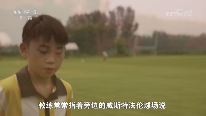 不只是文班 不只是文班